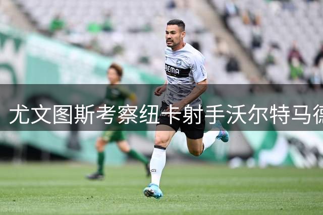 尤文图斯考察纽卡射手沃尔特马德 或采取租借+买断方式