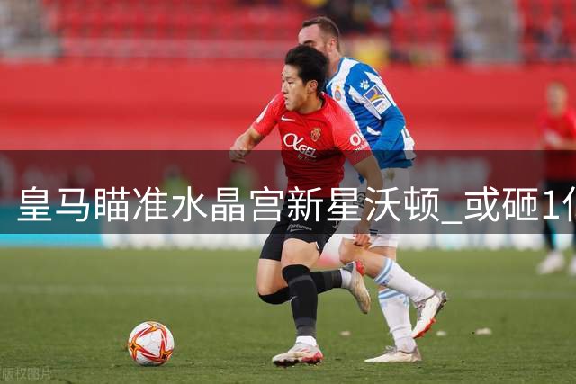 皇马瞄准水晶宫新星沃顿 或砸1亿补强中场
