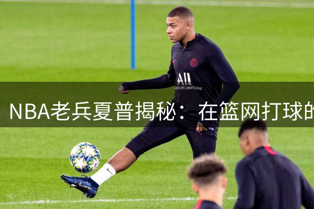 NBA老兵夏普揭秘：在篮网打球的生存之道